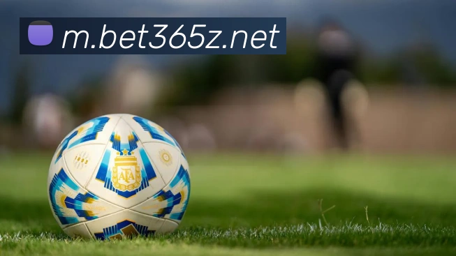 bet365中国官网服务体系